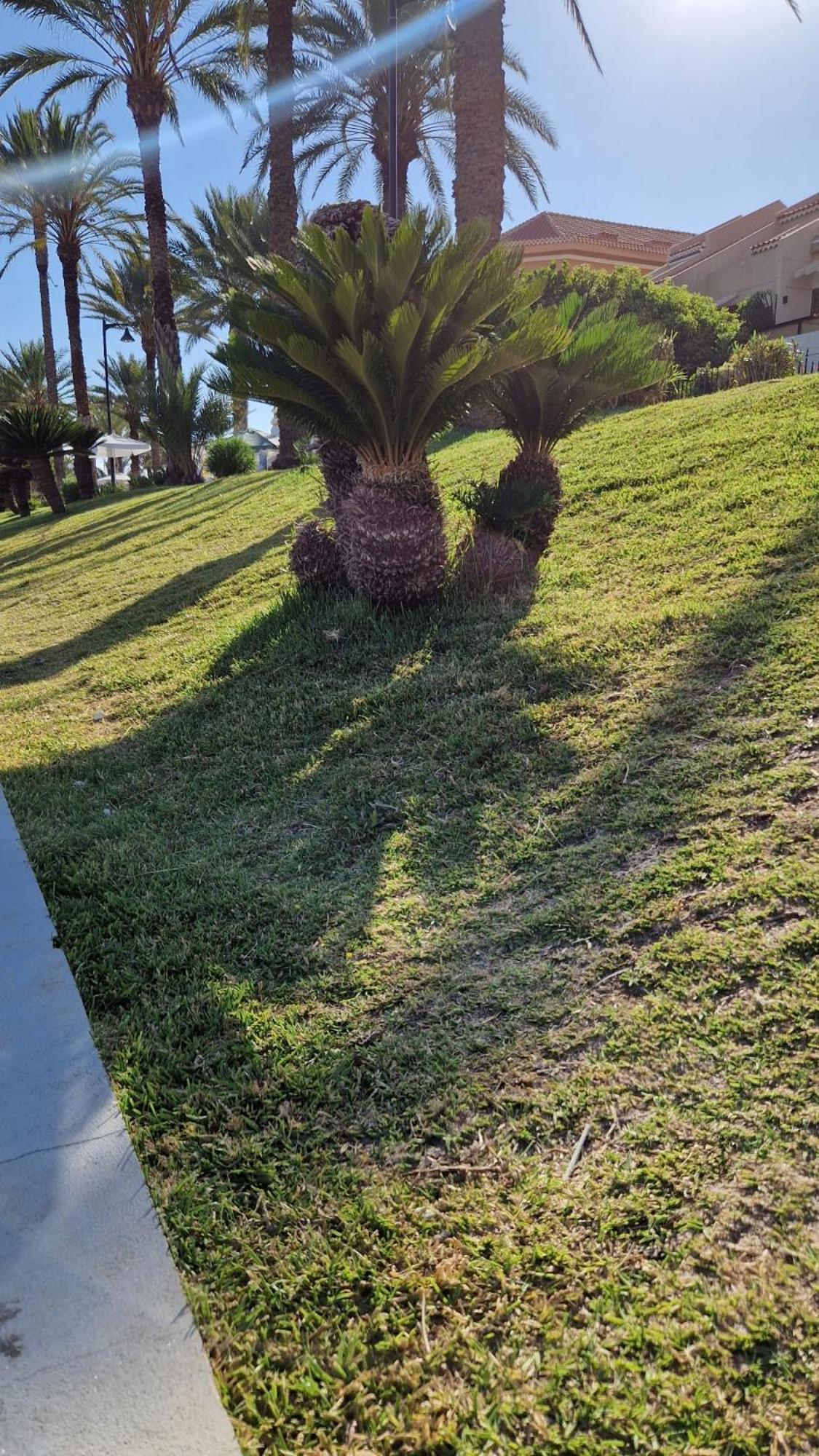 Torres Del Sol Luxury Las Americas Playa de las Américas Kültér fotó